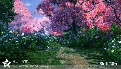 月光影视