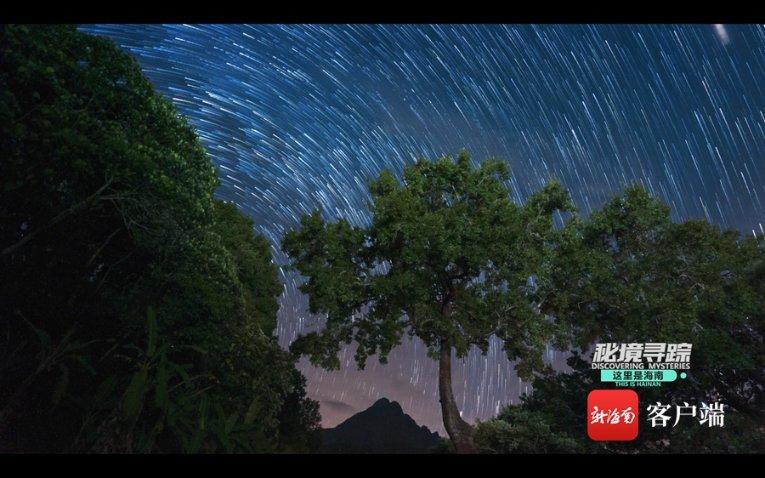 重庆一街道下水道井盖用竹签代替钢筋?官方介入调查