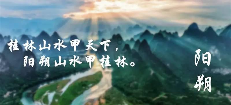 动物帮帮忙保卫家园