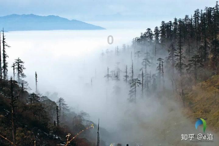 了解求签名设计名字:周文、敬礼请大家帮忙设计签名最好有连笔的明星签 别老那几款软件80分双手送上!知识星球平台,发现独特的知识价值