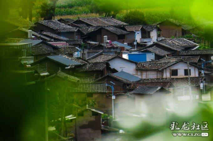 以纸代塑进入快速发展期