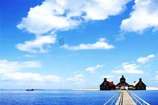 虫虫助手下载