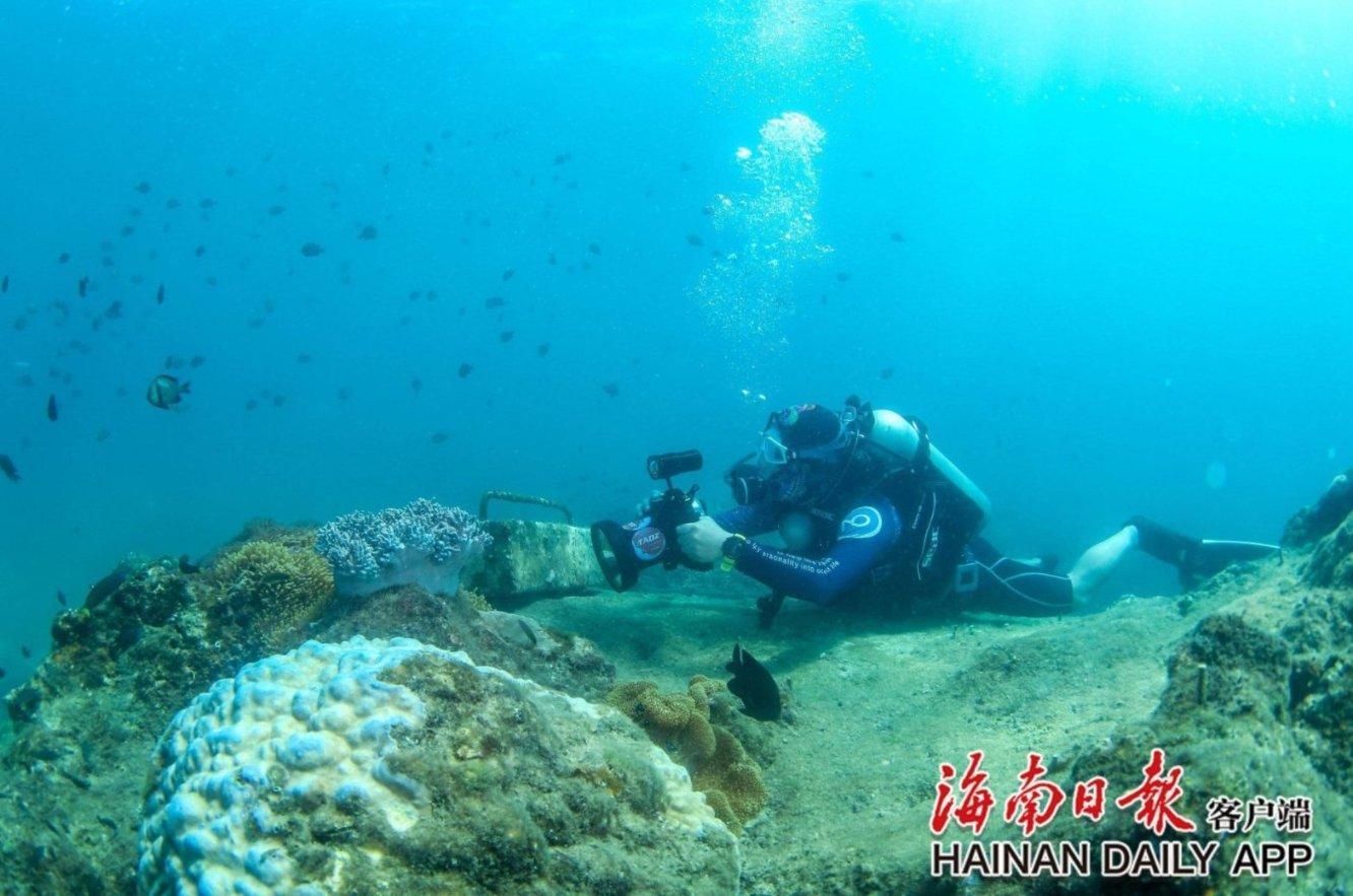 我的出租车从业资格证俞期三个月未换证，还能换吗？游戏画面