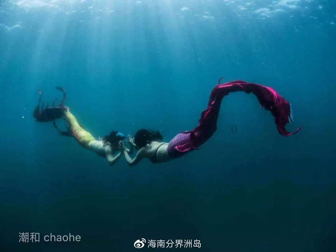 虫虫助手下载