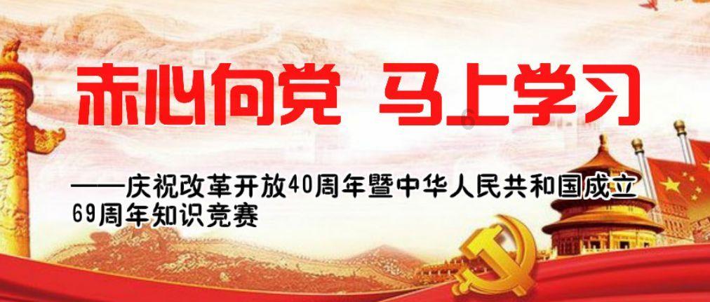 救援可爱小猪仔