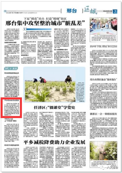 苏菲亚安伯时装秀