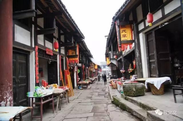 动物帮帮忙保卫家园