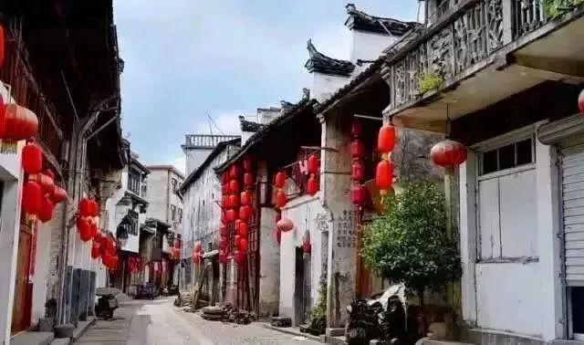 除猫浮毛小能手，速净快捷安心，希喂宠物空气净化器深度体验评测